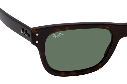 Ray-Ban Mr Burbank RB 2283 902/31