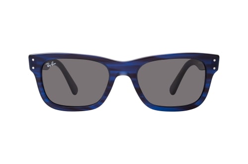 Ray-Ban Mr Burbank RB 2283 1339B1