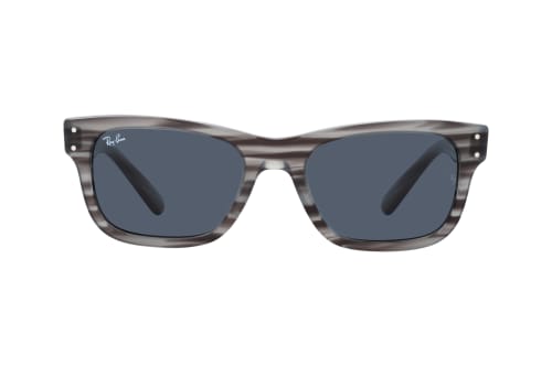 Ray-Ban MR Burbank RB 2283 1314R5