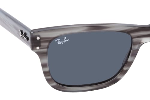 Ray-Ban MR Burbank RB 2283 1314R5