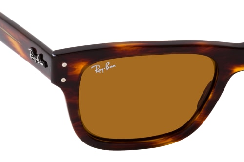 Ray-Ban Mr Burbank RB 2283 954/33