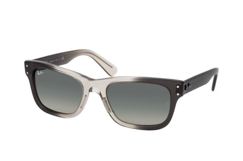 Ray-Ban Mr Burbank RB 2283 134071