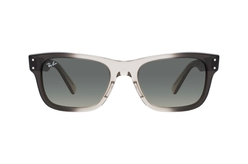 Ray-Ban Mr Burbank RB 2283 134071