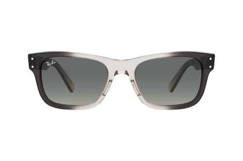 Ray-Ban Mr Burbank RB 2283 134071