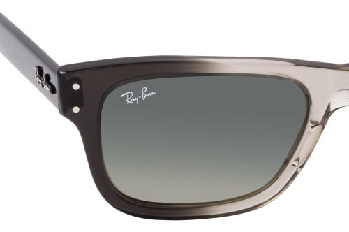 Ray-Ban Mr Burbank RB 2283 134071