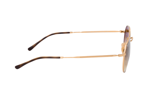 Buy Ray-Ban Jack RB 3565 001/51 Sunglasses