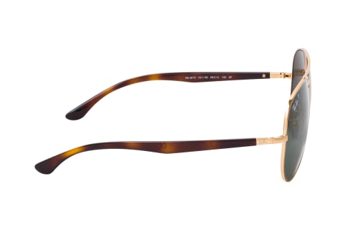 Ray-Ban RB 3675 001/58