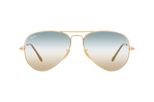 Ray-Ban Aviator RB 3689 001/GD L