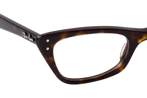 Ray-Ban Lady Burbank RX 5499 2012