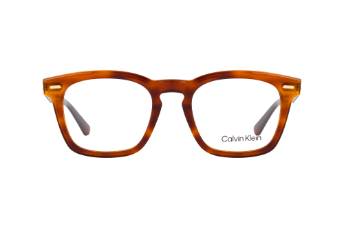 Calvin Klein CK 21517 213