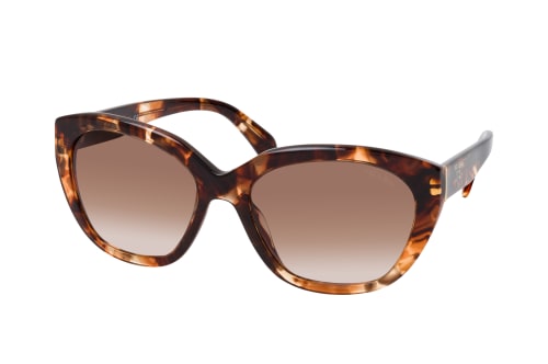 Prada 53mm cat eye 2024 sunglasses