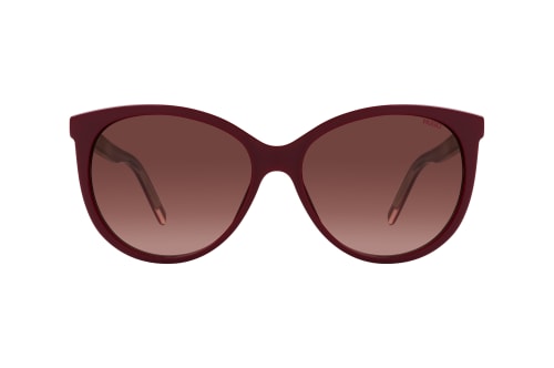 Hugo Boss HG 1006/S 0T5