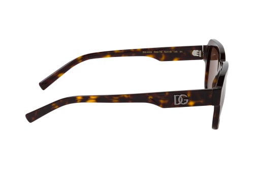 Dolce&Gabbana DG 4402 502/73