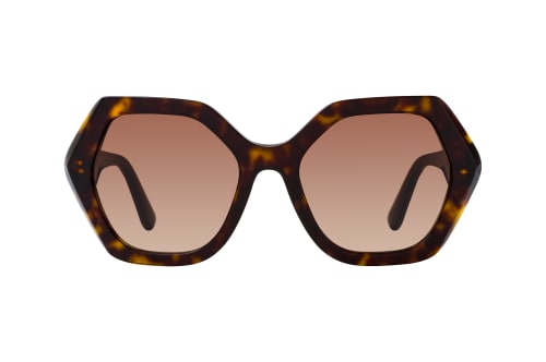 Dolce&Gabbana DG 4406 502/13
