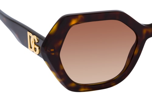 Dolce&Gabbana DG 4406 502/13