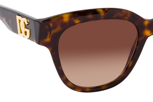 Dolce&Gabbana DG 4407 502/13