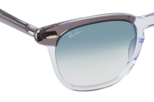 Ray-Ban RB 2298 13553F