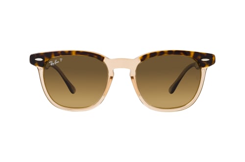 Ray-Ban HAWKEYE RB 2298 1292M2