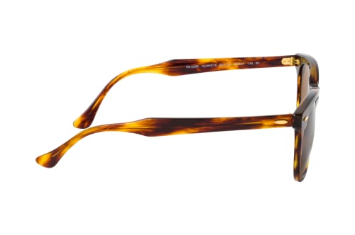 Ray-Ban HAWKEYE RB 2298 954/33