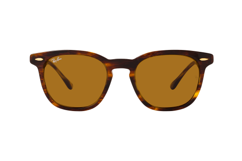 Ray-Ban HAWKEYE RB 2298 954/33