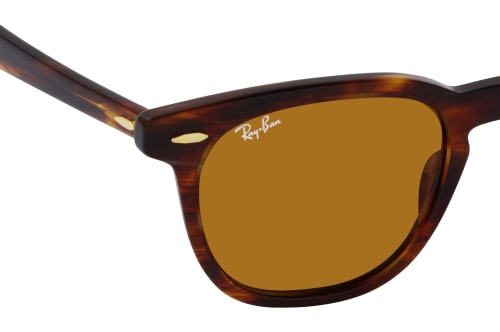 Ray-Ban HAWKEYE RB 2298 954/33