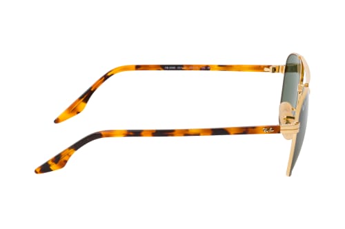 Ray-Ban RB 3688 001/31