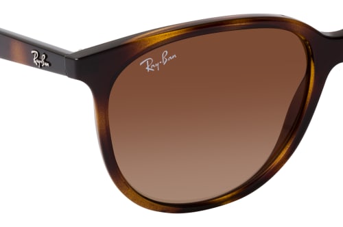 Ray-Ban RB 4378 710/13