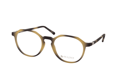 Sears store eyewear frames