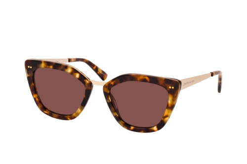 Kapten & Son Sydney Sun Amber Tortoise