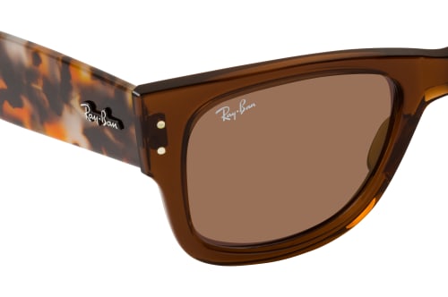 Ray-Ban RB 0840S 663693