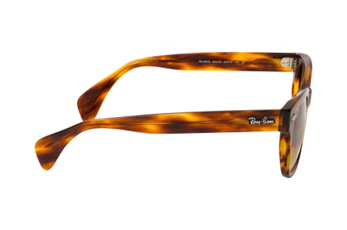 Ray-Ban RB 0880S 954/51
