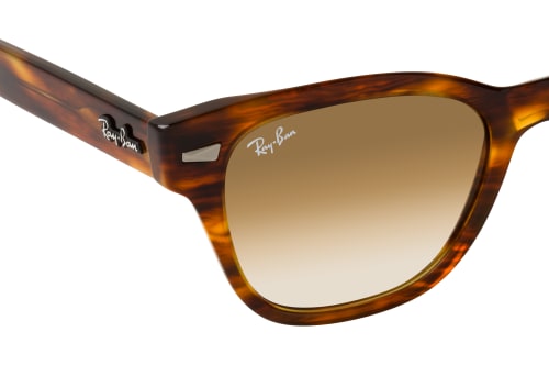 Ray-Ban RB 0880S 954/51