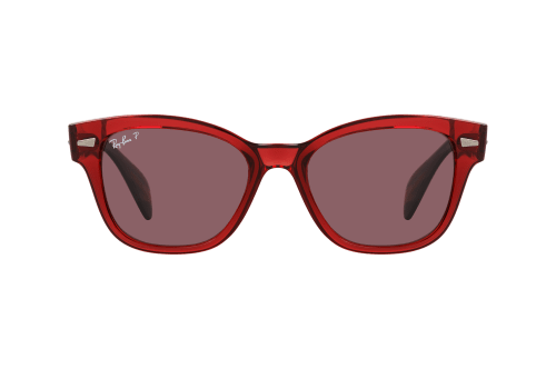 Ray-Ban RB 0880S 6639AF