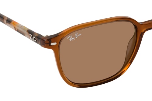 Ray-Ban RB 2193 663693