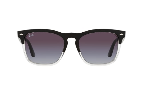 Ray-Ban RB 4487 66308G