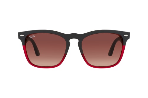 Ray-Ban RB 4487 663113