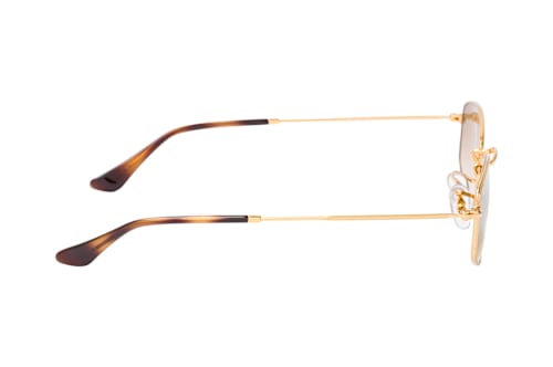 Ray-Ban RB 3832 001/51