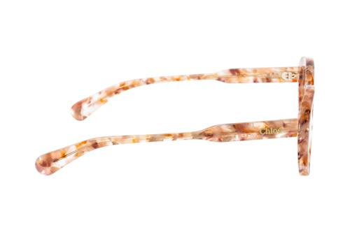 Chloé CH 0223O 005