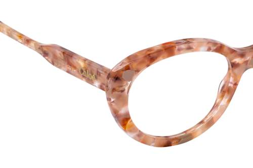 Chloé CH 0223O 005