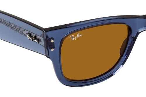 Ray-Ban RB 0840S 668073
