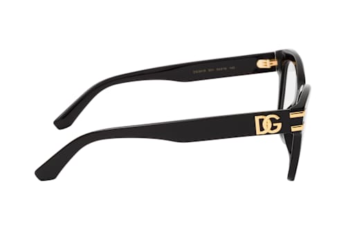 Dolce&Gabbana DG 3419 501