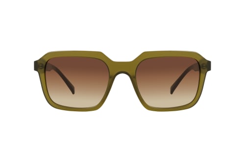 CO Optical Crookes 2619 P23