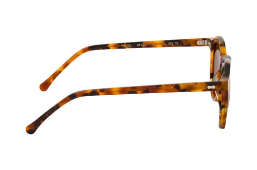 TBD Eyewear Lapel Amber Tortoise TOB