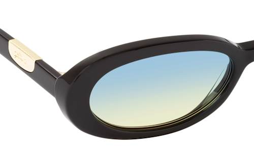 Longchamp LO 795S 001