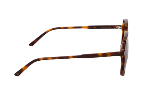 CO Optical Mitchell  2618 R21