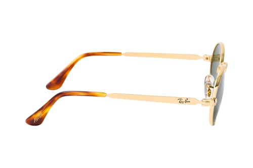 Ray-Ban RB 3931 001/31