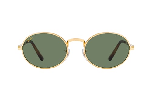 Ray-Ban RB 3931 001/31