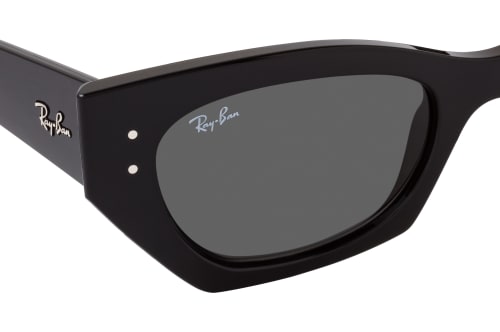 Ray-Ban RB 4430 667787