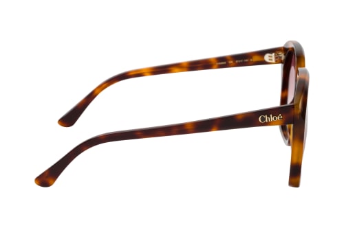 Chloé CH0280S 006