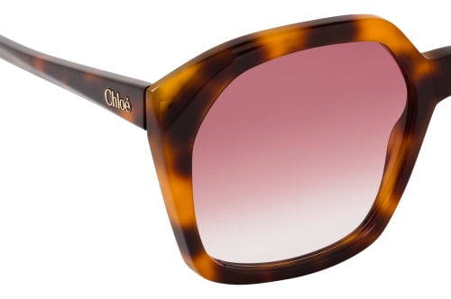 Chloé CH0280S 006